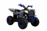 ���������� Wels ATV THUNDER EVO 125 s-dostavka ����� - ����������-�-�������������.��