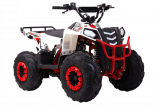 ���������� Wels �������� THUNDER EVO.M 110cc ����� s-dostavka - ����������-�-�������������.��