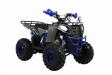 ���������� Wels ATV THUNDER EVO 125 X ST s-dostavka - ����������-�-�������������.��