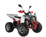 ���������� Wels ATV THUNDER EVO 125 � s-dostavka ����� - ����������-�-�������������.��