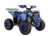 ���������� Wels ATV THUNDER EVO 125 s-dostavka ����� - ����������-�-�������������.��