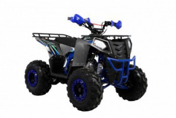  Wels ATV THUNDER EVO 125 s-dostavka  - --.