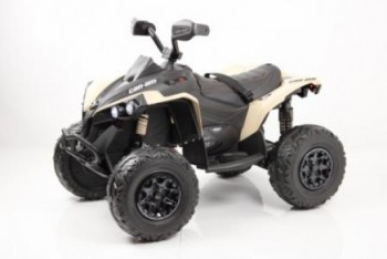   BRP Can-Am Renegade (Y333YY) swat - --.