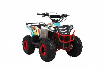  Wels  THUNDER EVO.M 110cc  s-dostavka - --.