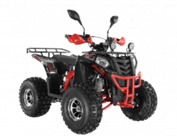  Wels ATV THUNDER EVO 125  s-dostavka  - --.