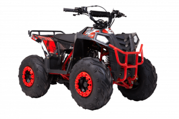  Wels  THUNDER EVO.M 110cc  s-dostavka - --.