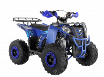  Wels ATV THUNDER EVO 125 s-dostavka  - --.