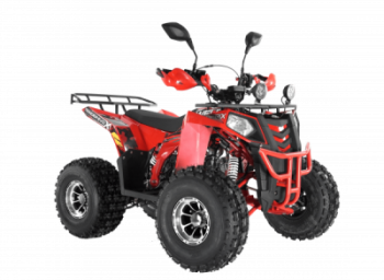  Wels ATV THUNDER EVO 125  s-dostavka  - --.