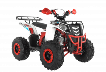 Wels ATV THUNDER EVO 125 s-dostavka  - --.